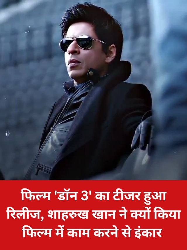 Don 3 Movie Poster